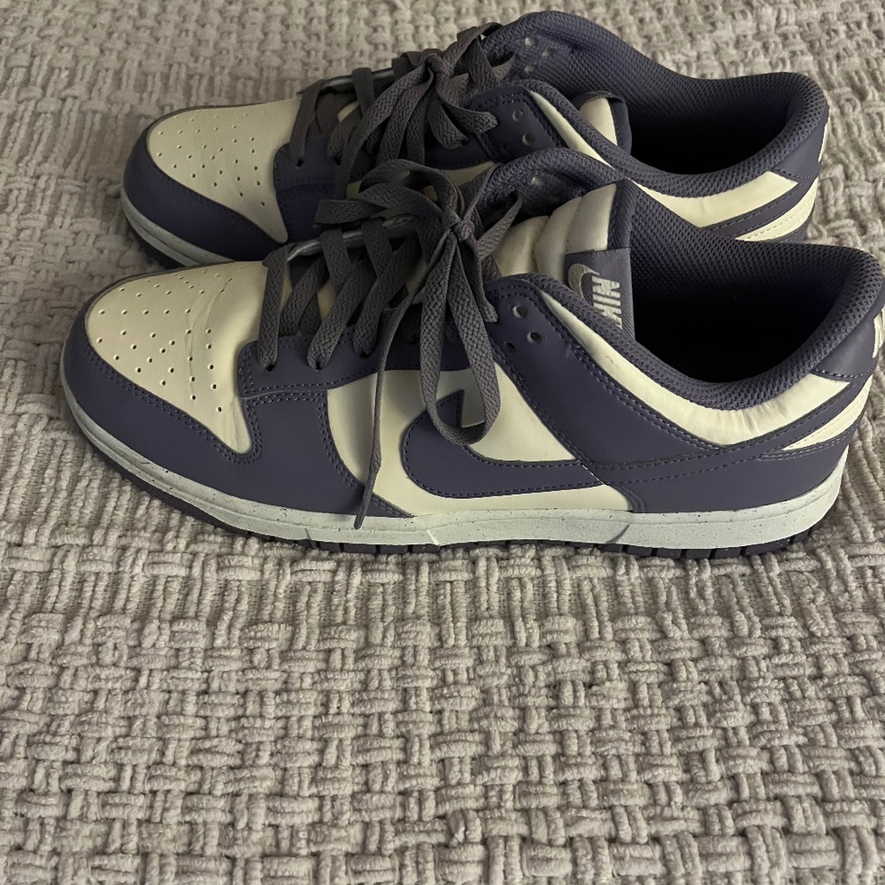 Nike Dunk Low Next Nature “Coconut Milk/Daybreak”